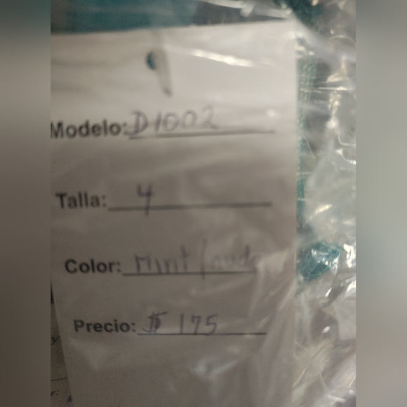 Fierestone/ Charticuse Dress / Quinceañera Dress / Prom Dress / Ball Gown - Picture 3 of 3